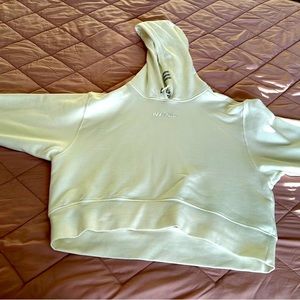 Ivy Park Cropped Hoodie